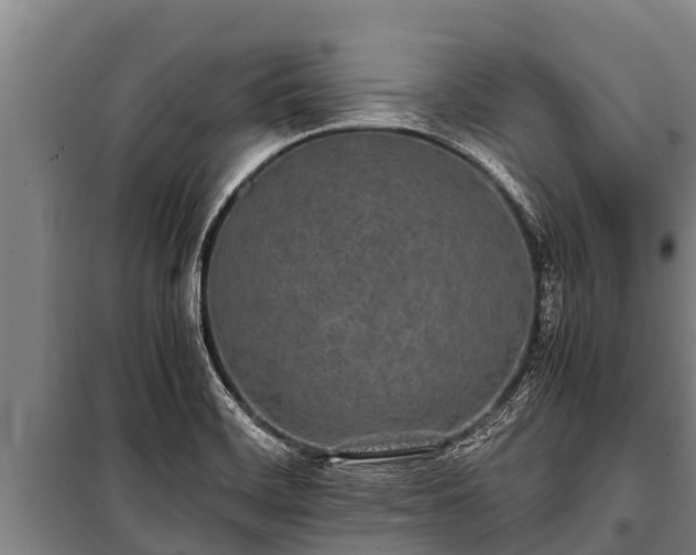 X0000100851468200806271124