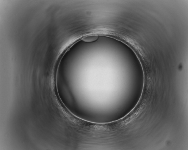 X0000100851469200806271124
