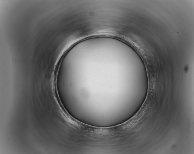 X0000100851470200806271124