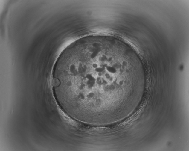 X0000100851471200806271124