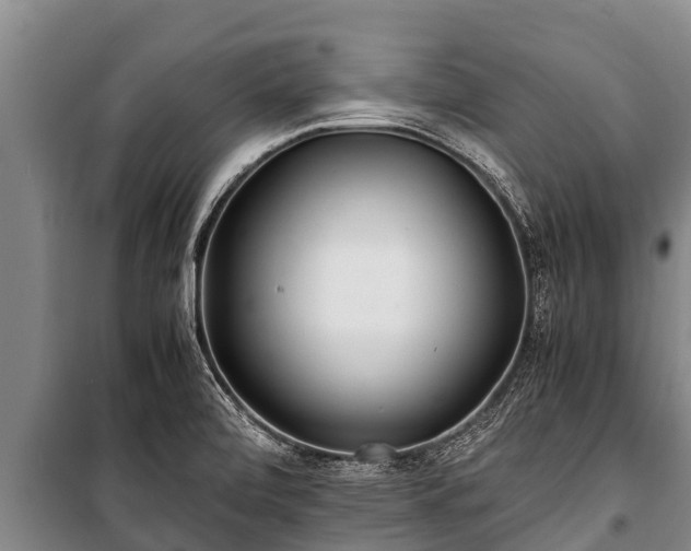 X0000100851472200806271124