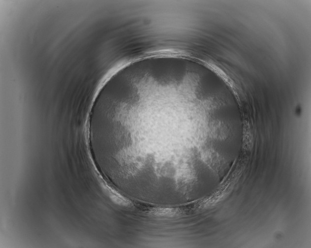 X0000100851474200806271124