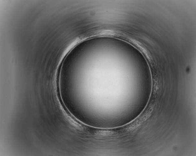 X0000100851475200806271124