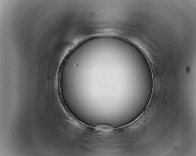 X0000100851477200806271124
