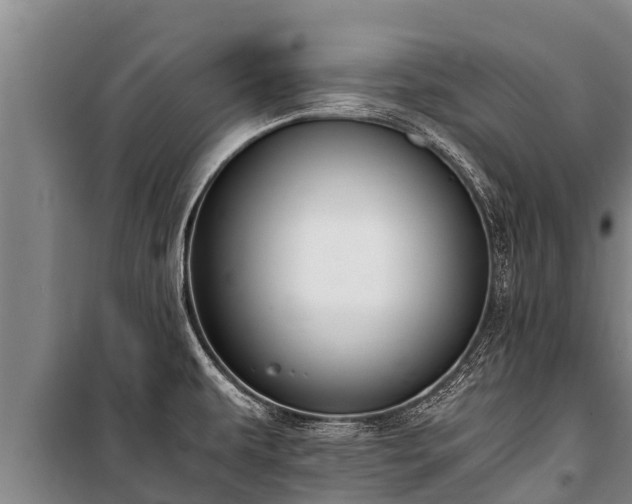 X0000100851479200806271124