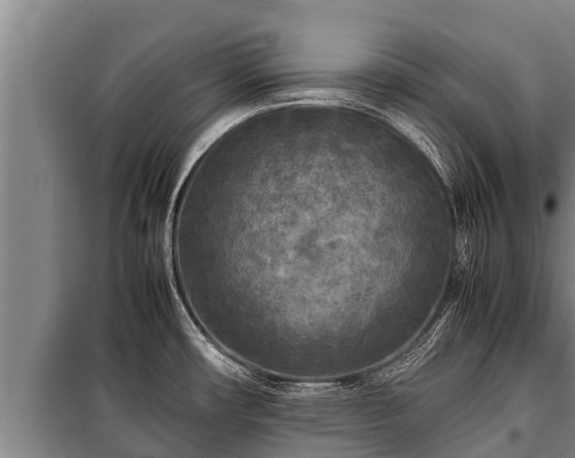 X0000100851482200806271124