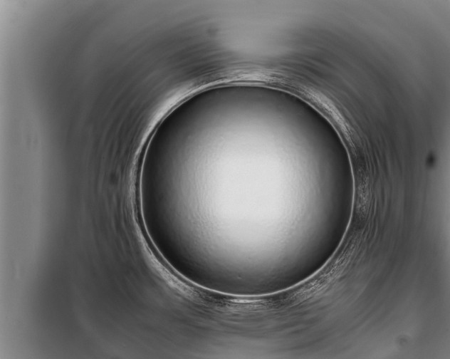 X0000100851483200806271124