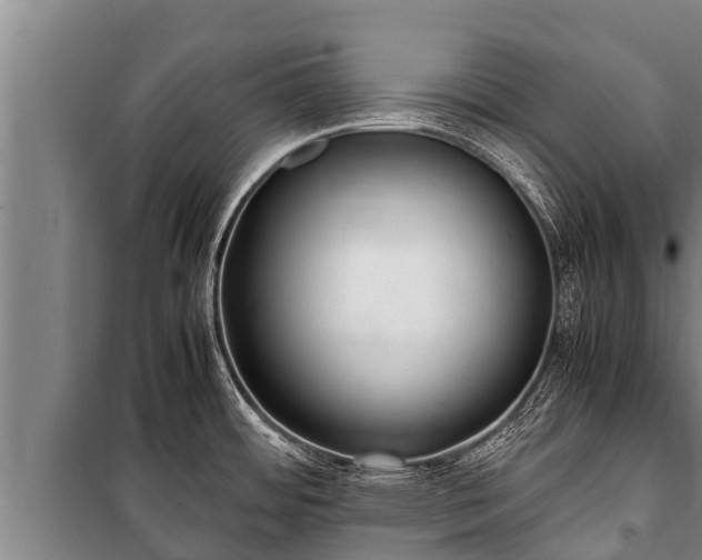 X0000100851484200806271124