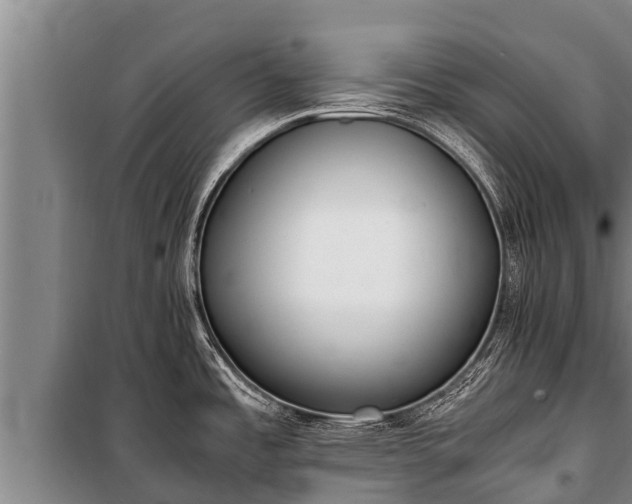 X0000100851485200806271124