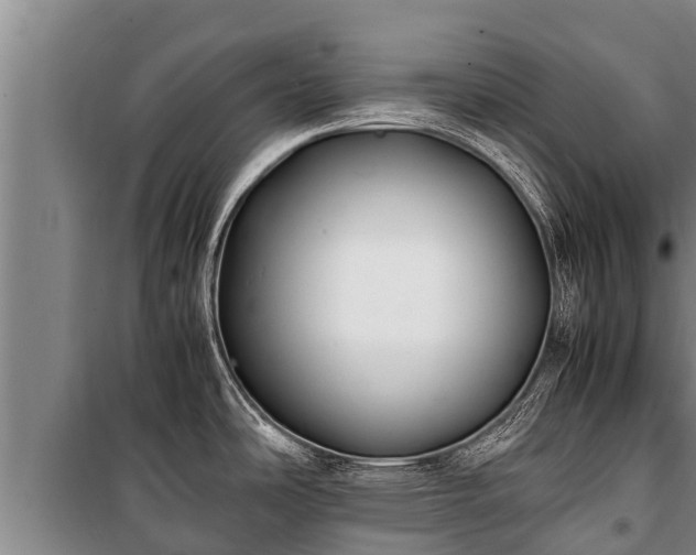 X0000100851486200806271124