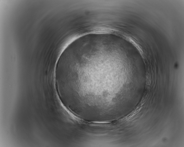 X0000100851487200806271124