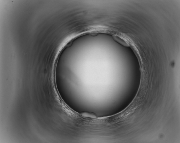 X0000100851488200806271124