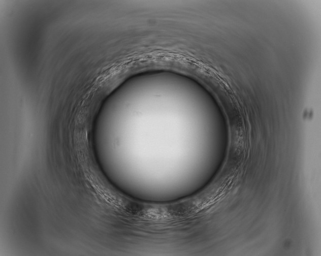 X0000100851489200806271123
