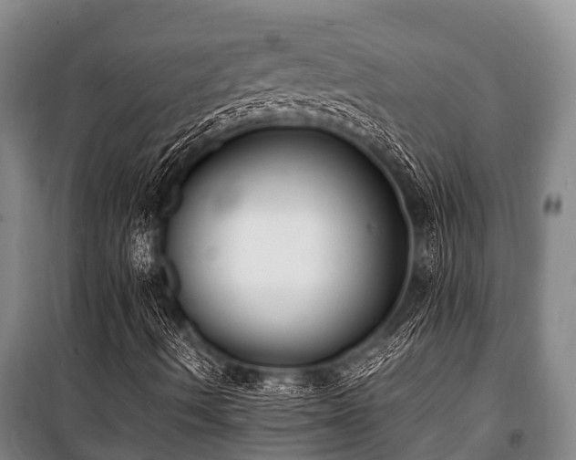 X0000100851490200806271123