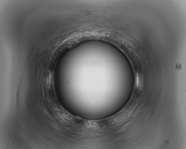X0000100851492200806271123