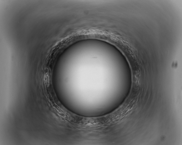 X0000100851493200806271123
