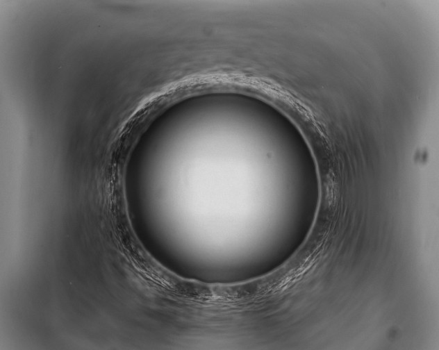 X0000100851494200806271124