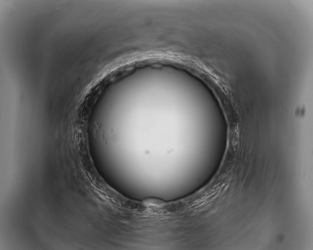 X0000100851496200806271124