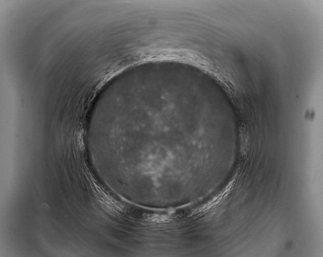 X0000100851497200806271124