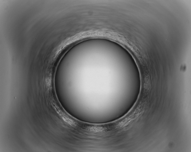 X0000100851499200806271124