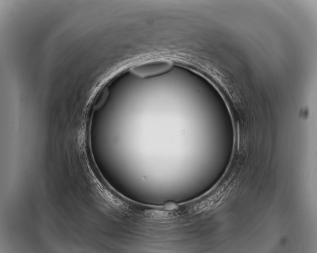 X0000100851500200806271124