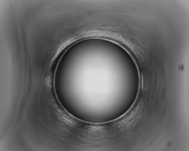 X0000100851501200806271124