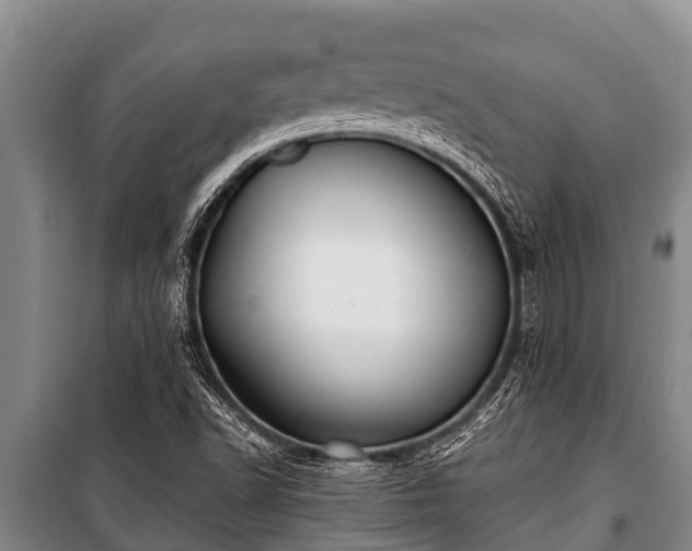 X0000100851502200806271124