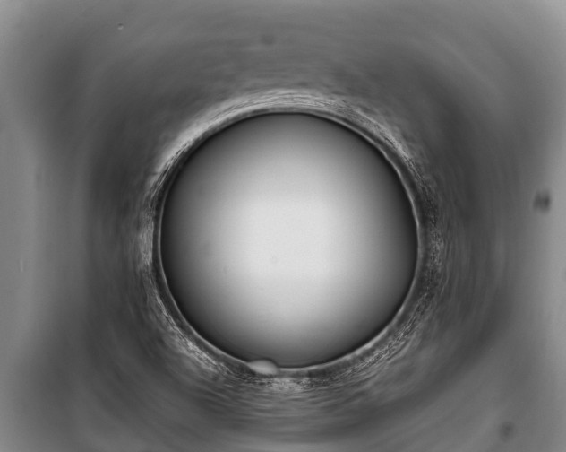 X0000100851504200806271124