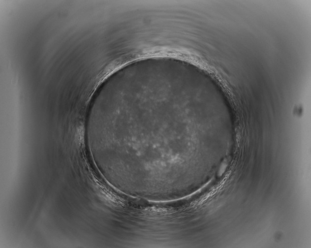 X0000100851505200806271124