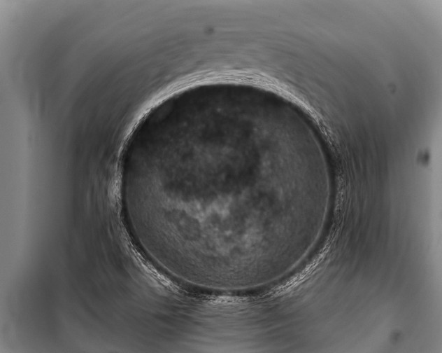 X0000100851506200806271124
