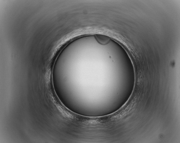 X0000100851507200806271124