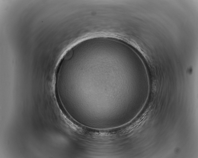 X0000100851508200806271124
