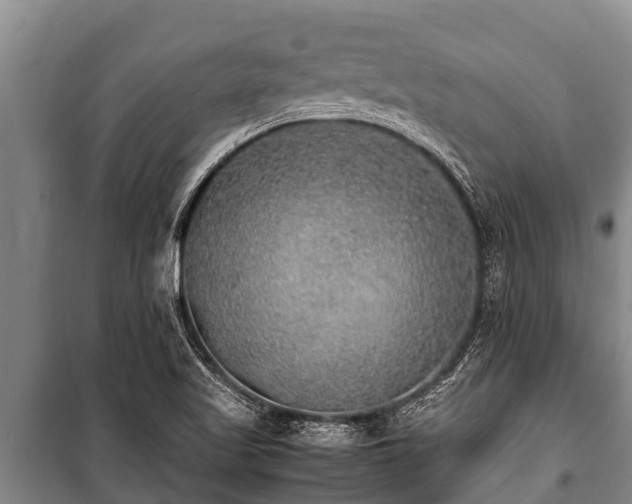 X0000100851509200806271124