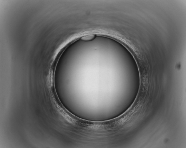 X0000100851510200806271124