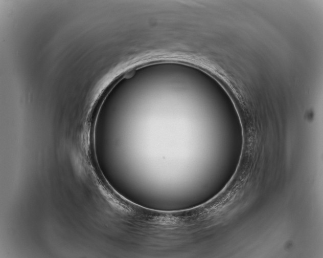 X0000100851511200806271124