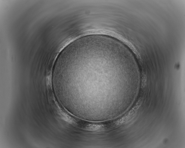 X0000100851513200806271124