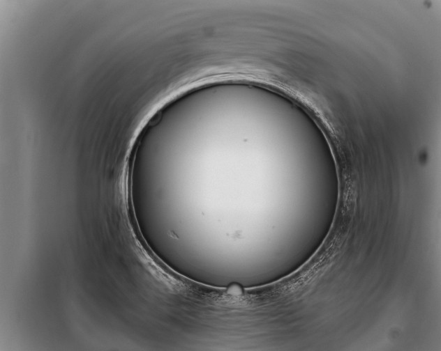 X0000100851516200806271124