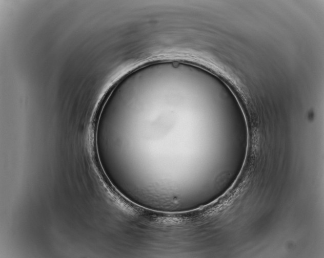 X0000100851517200806271124