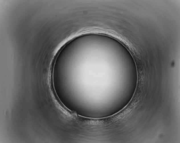 X0000100851518200806271124