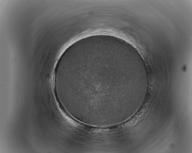 X0000100851519200806271124