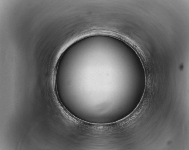 X0000100851520200806271124