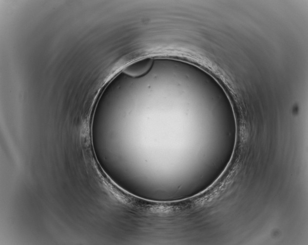 X0000100851521200806271124