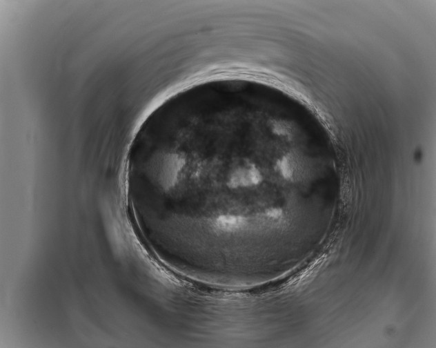 X0000100851522200806271124