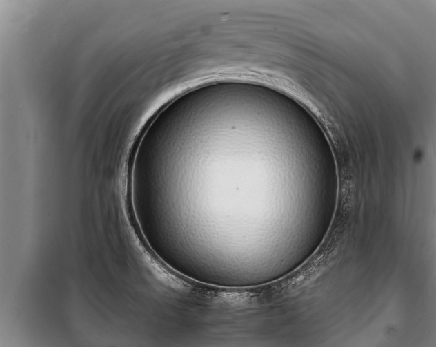 X0000100851523200806271124