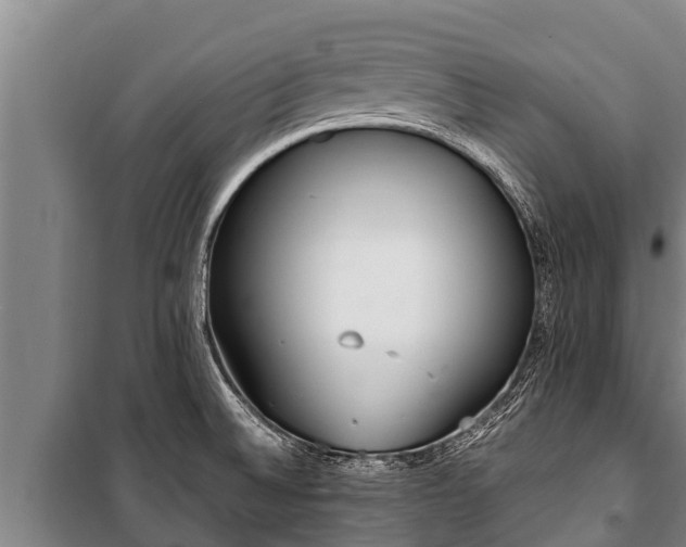 X0000100851524200806271124