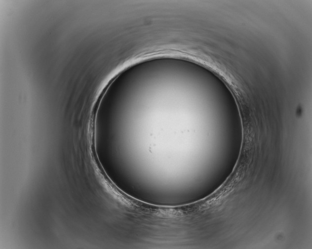 X0000100851526200806271124