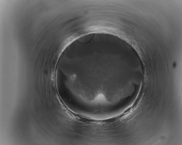 X0000100851529200806271124