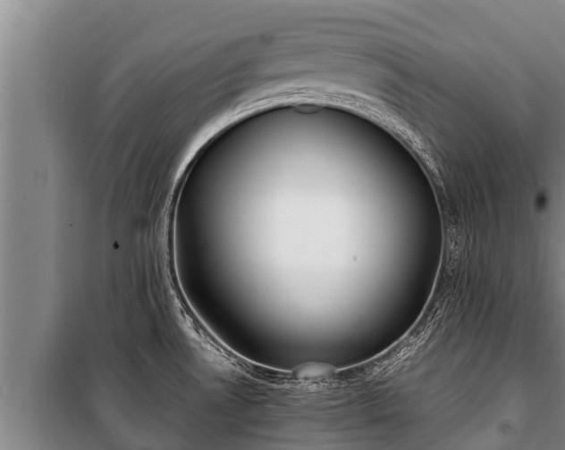 X0000100851530200806271124