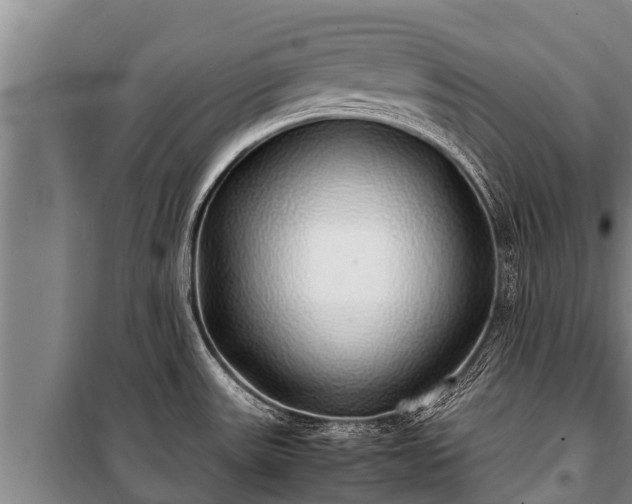 X0000100851531200806271124
