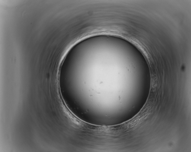 X0000100851532200806271124